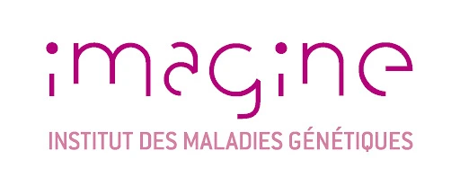 institut imagine 